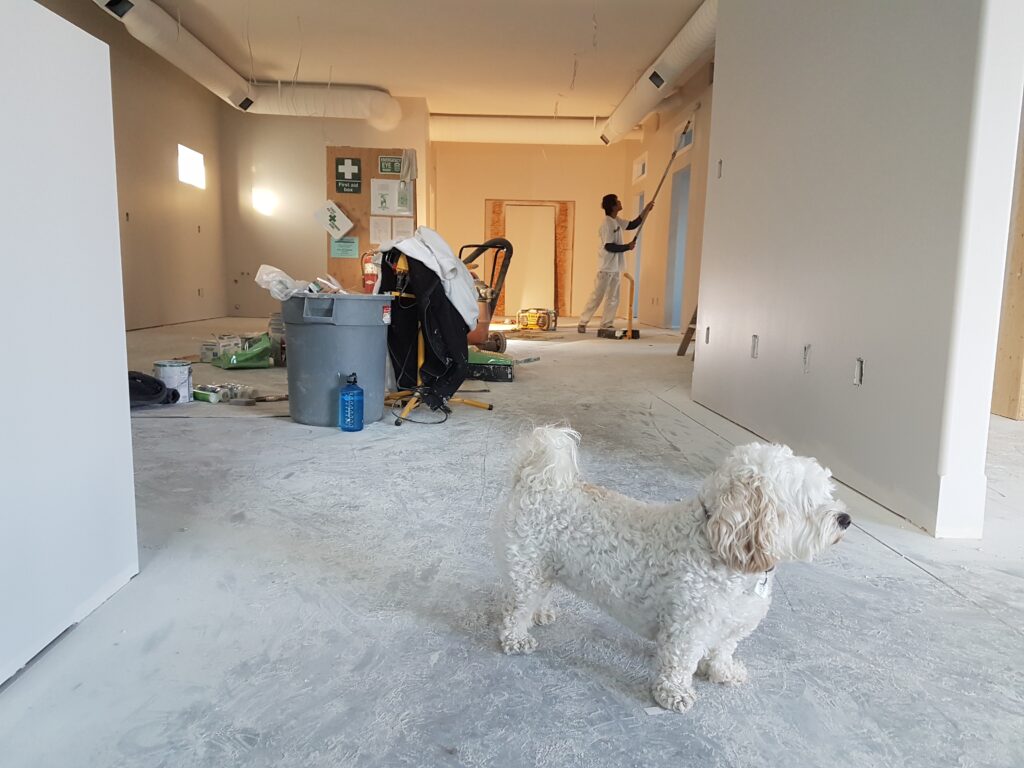 fresh paint inside of a new orleans home